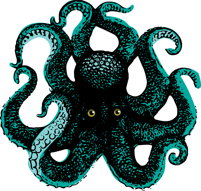 octopus-7294512_1280.png