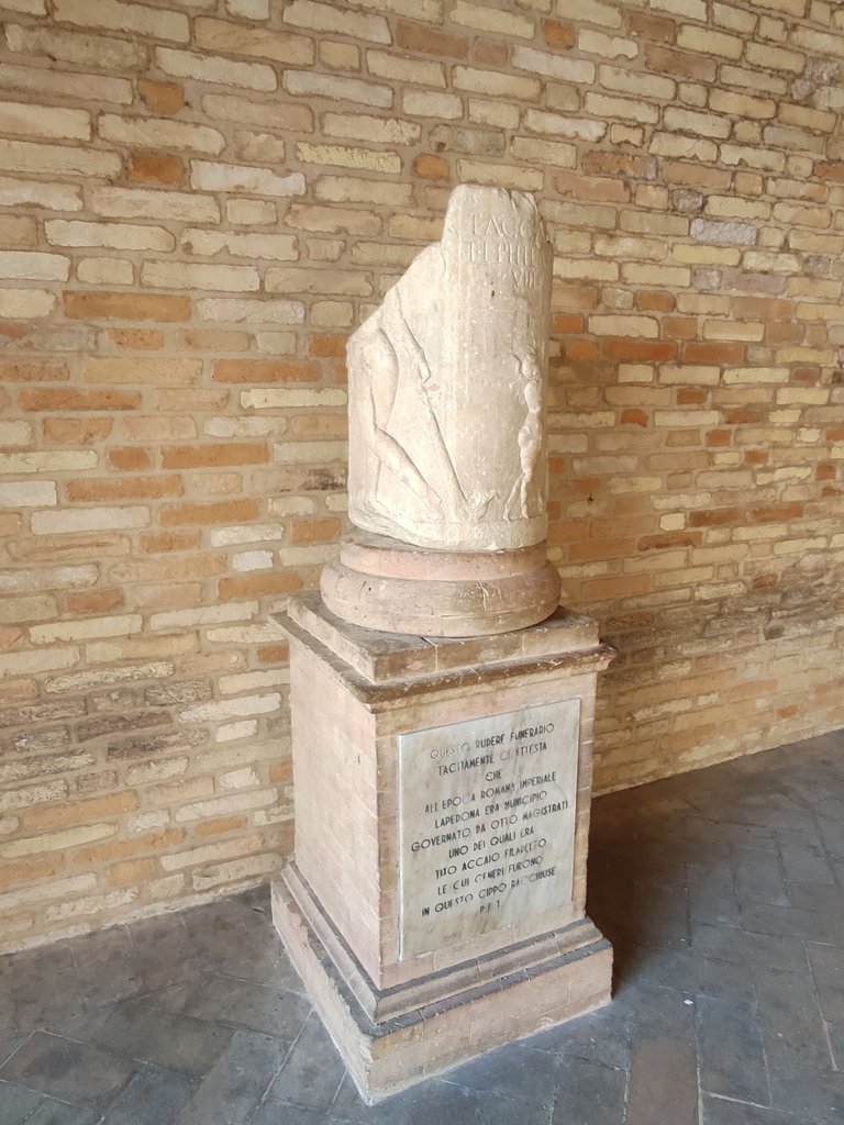 1648540319374 (1).jpg