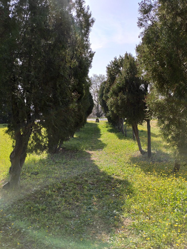 1648539347495 (1).jpg