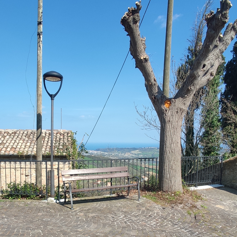 Vicolo verso albero panchine 0 (1).png