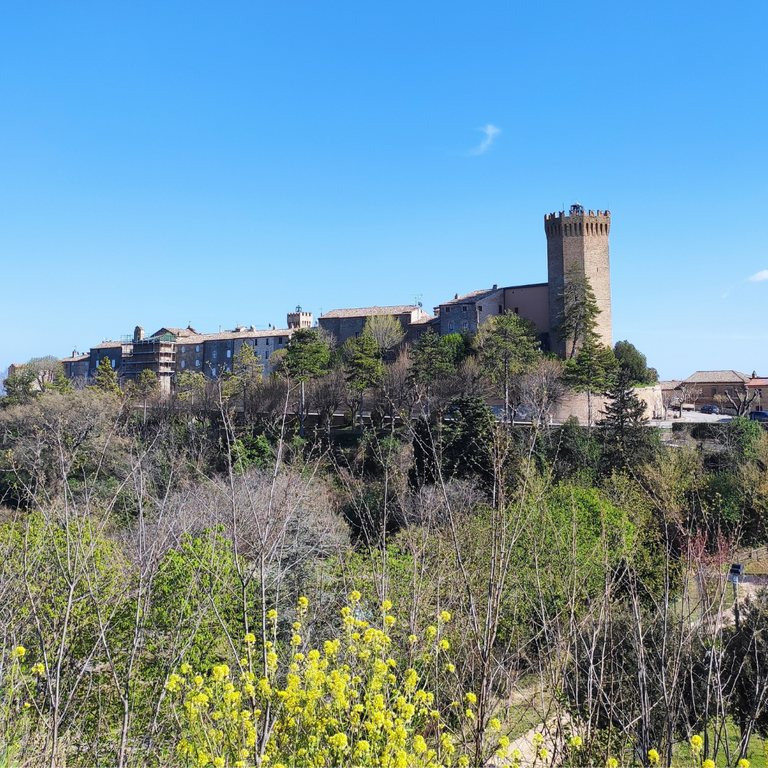 Panoramica lontano 1 (1).png
