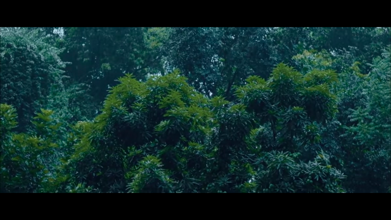 Screenshot from 2021-11-14 11-26-44.png