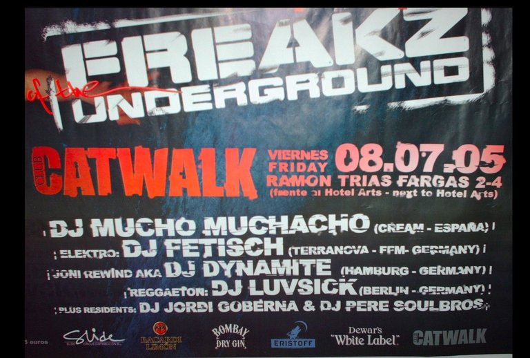 Catwalk_DJ Luvsick_Reggaeton.jpg