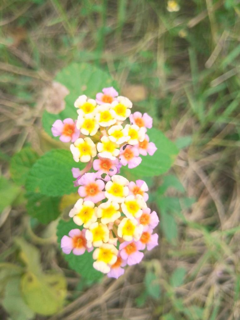 IMG_20250409_131559_884.jpg