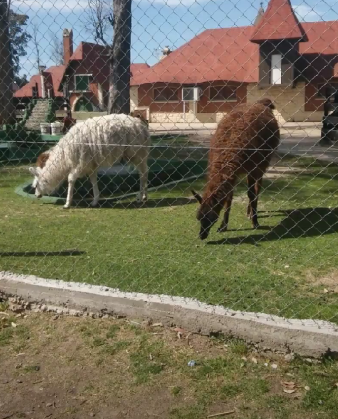 granja.png