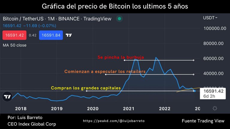 Bitcoin grafica.jpeg