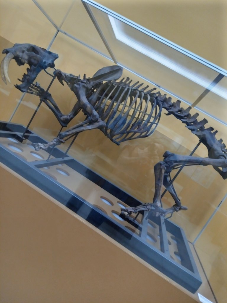 62.jpg