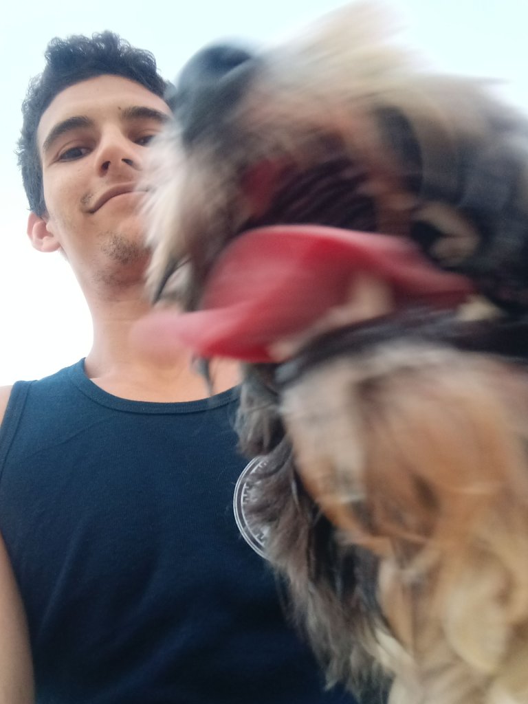 1000060388.jpg