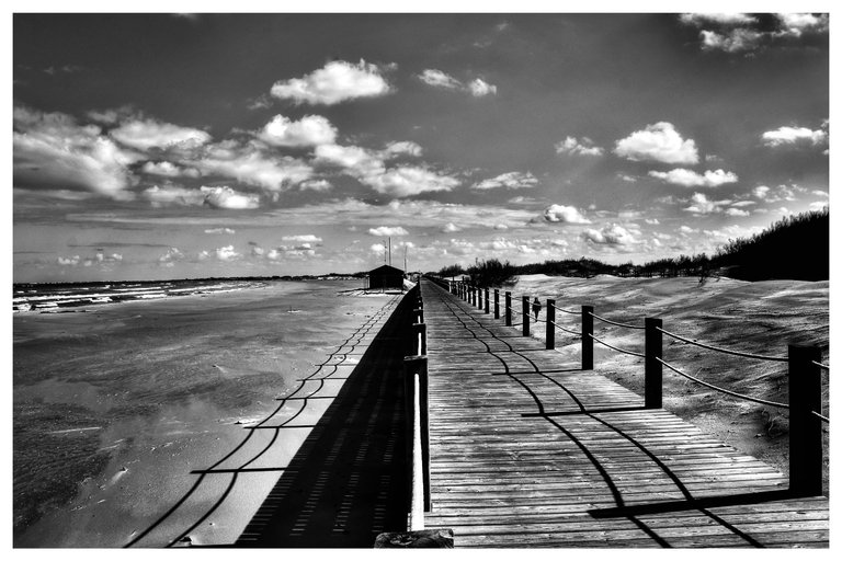 p_DSC_0283-02.jpeg
