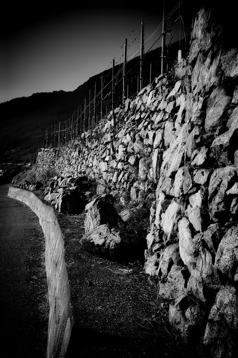 Post 1 Italien Sondrio _DSC0586 (1).JPG