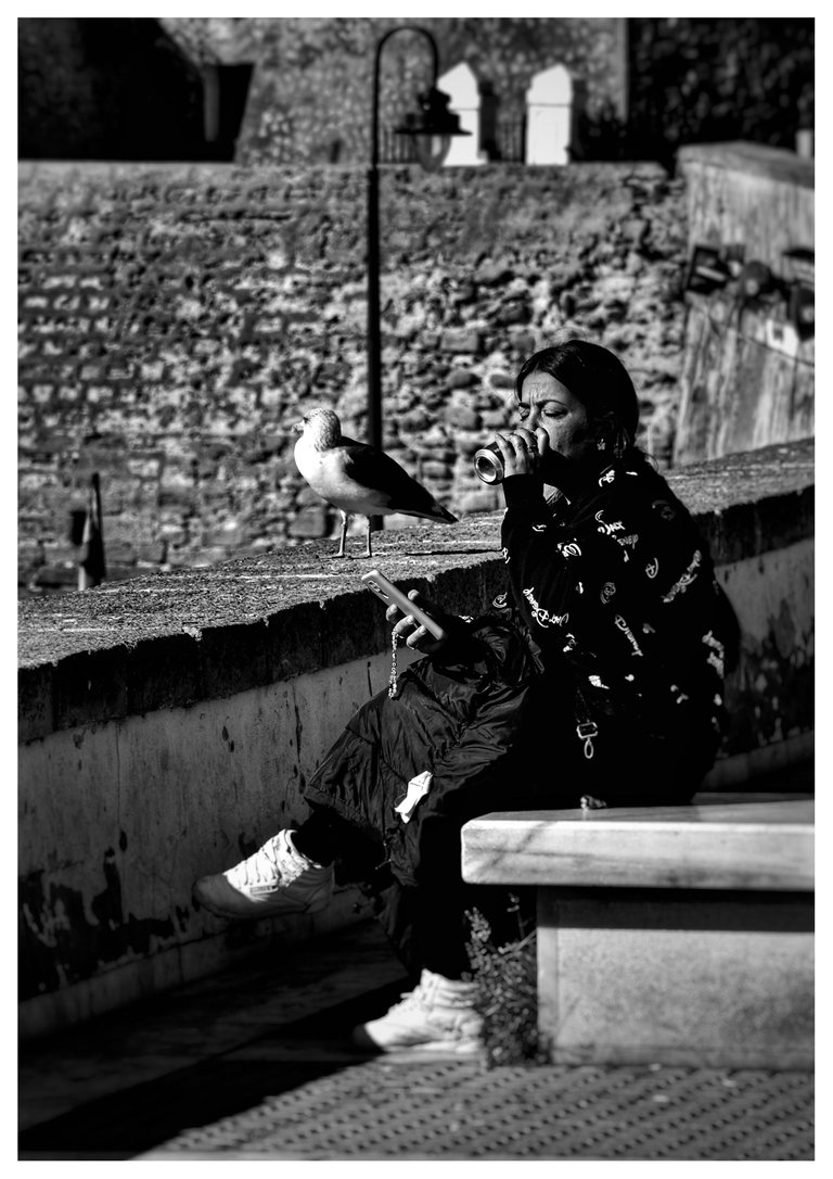 post birds bw 1669675736458-01.jpeg