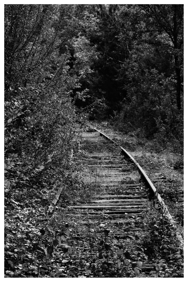 Frankreich Cénevières DSC_0205-01.jpeg