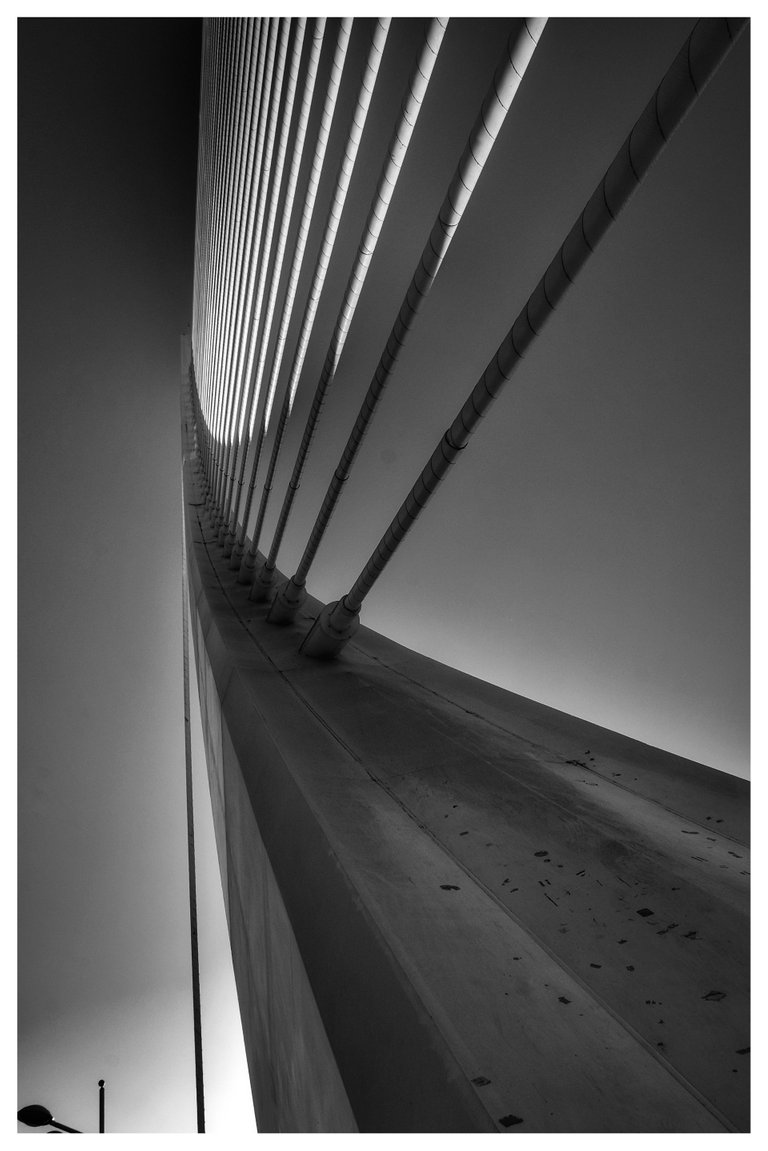 DSC_0174_2-02.jpeg