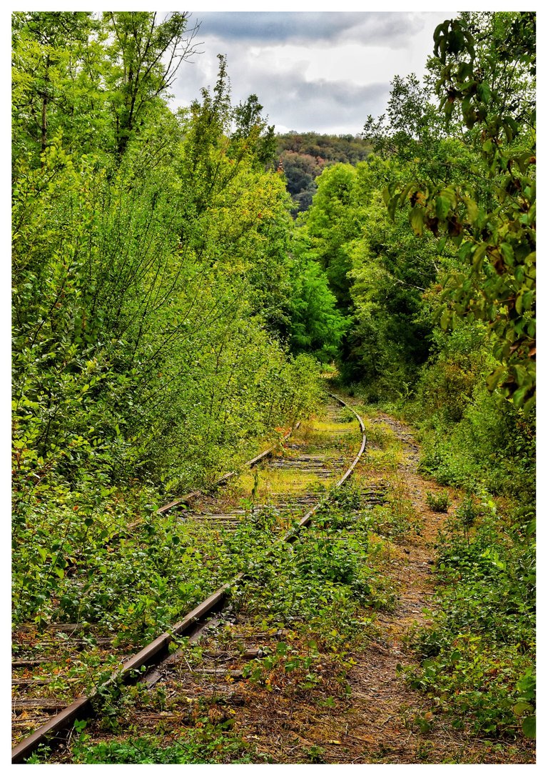 Frankreich Cénevières DSC_0198-01.jpeg