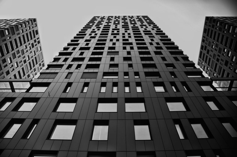 _DSC0093-01.jpeg