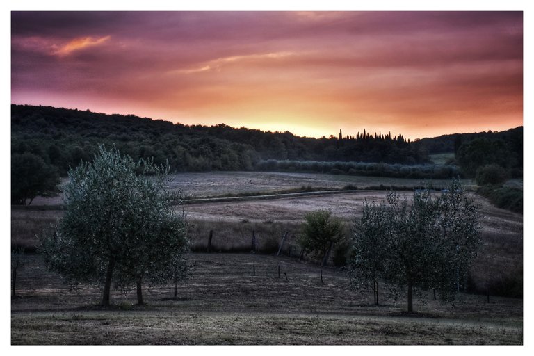 #0177 Italien Toscana 1693438891820-01.jpeg