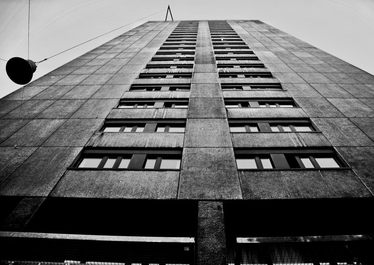 _DSC0260-01.jpeg