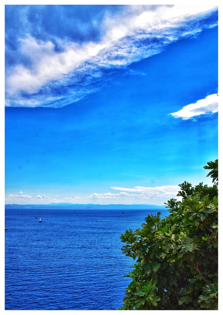 DSC_0784-01.jpeg