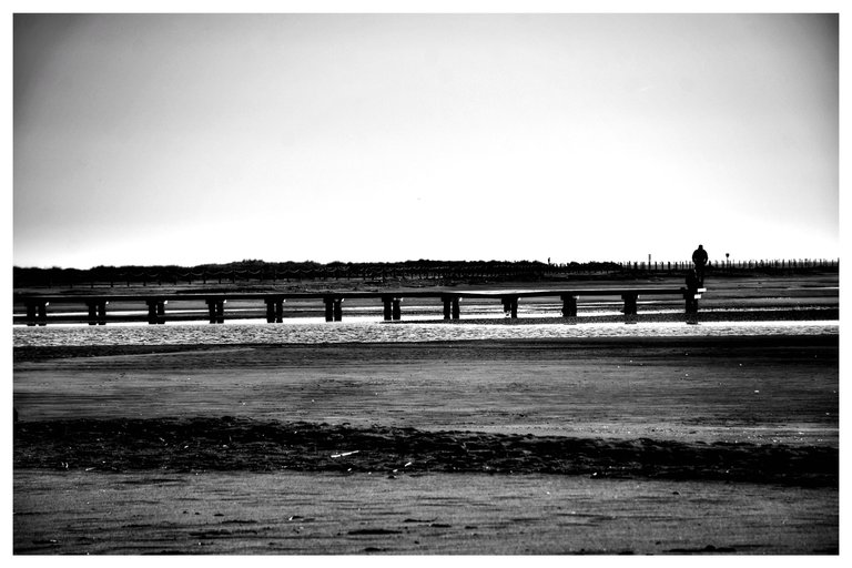 p_DSC_0450-02.jpeg