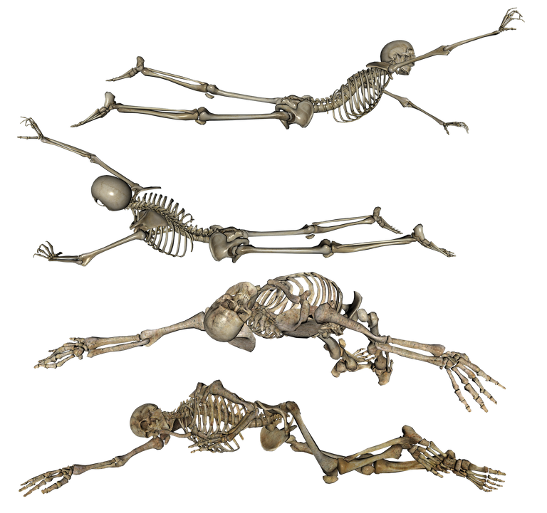 skeleton-3393783_1920.png