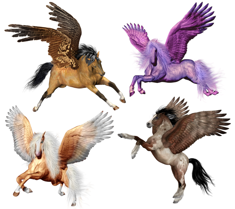 pegasus-3382829_1920.png