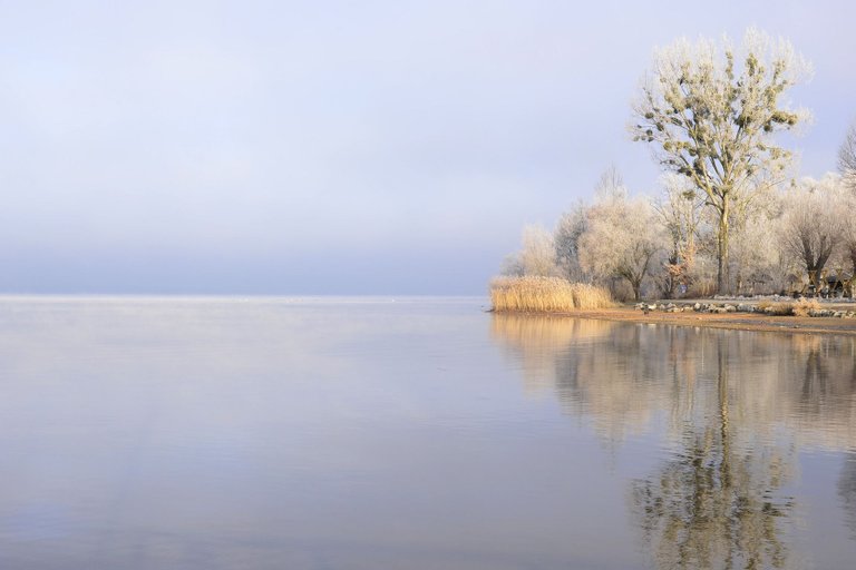 httpspixabay.comesphotospaisaje-marino-lago-la-naturaleza-2895017.jpg