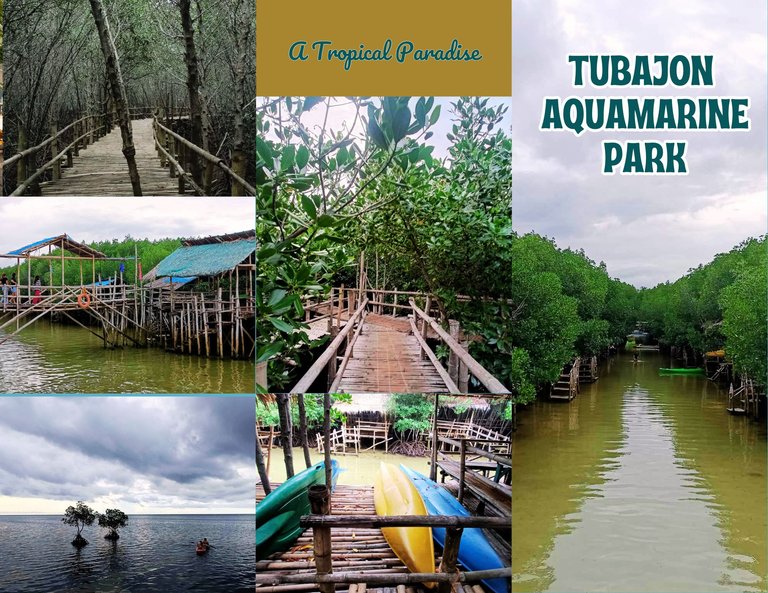 Tubajon Aquamarine PARK.png