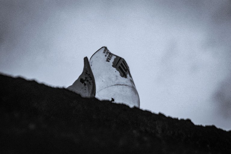CS 17 NOV - B&W-2-2.jpg