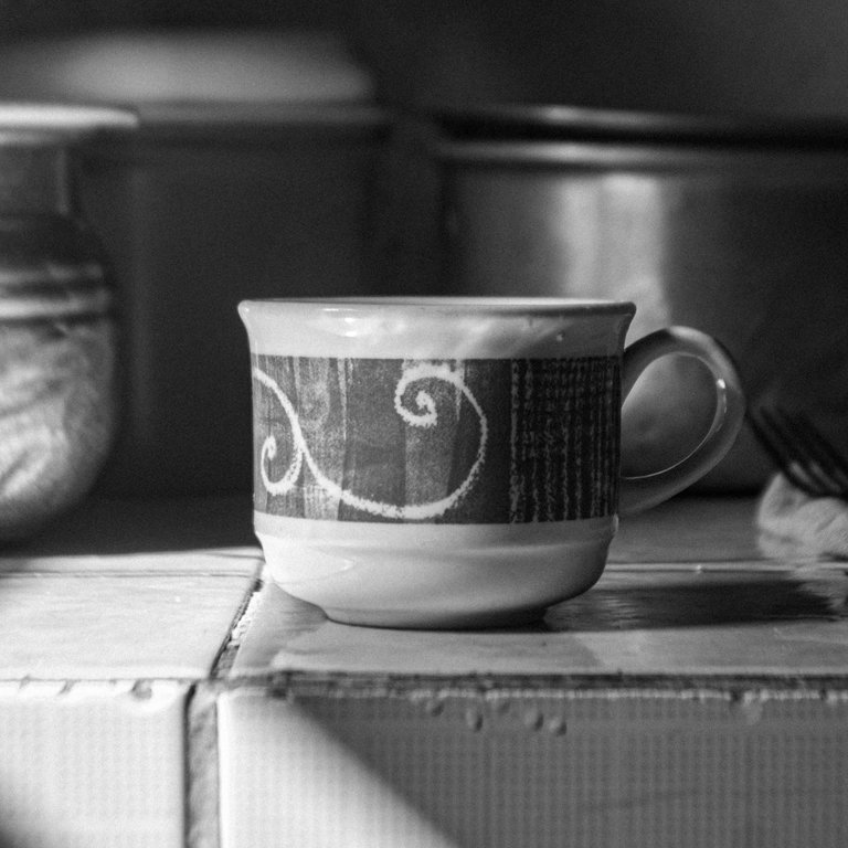 Taza-BW-2.jpg