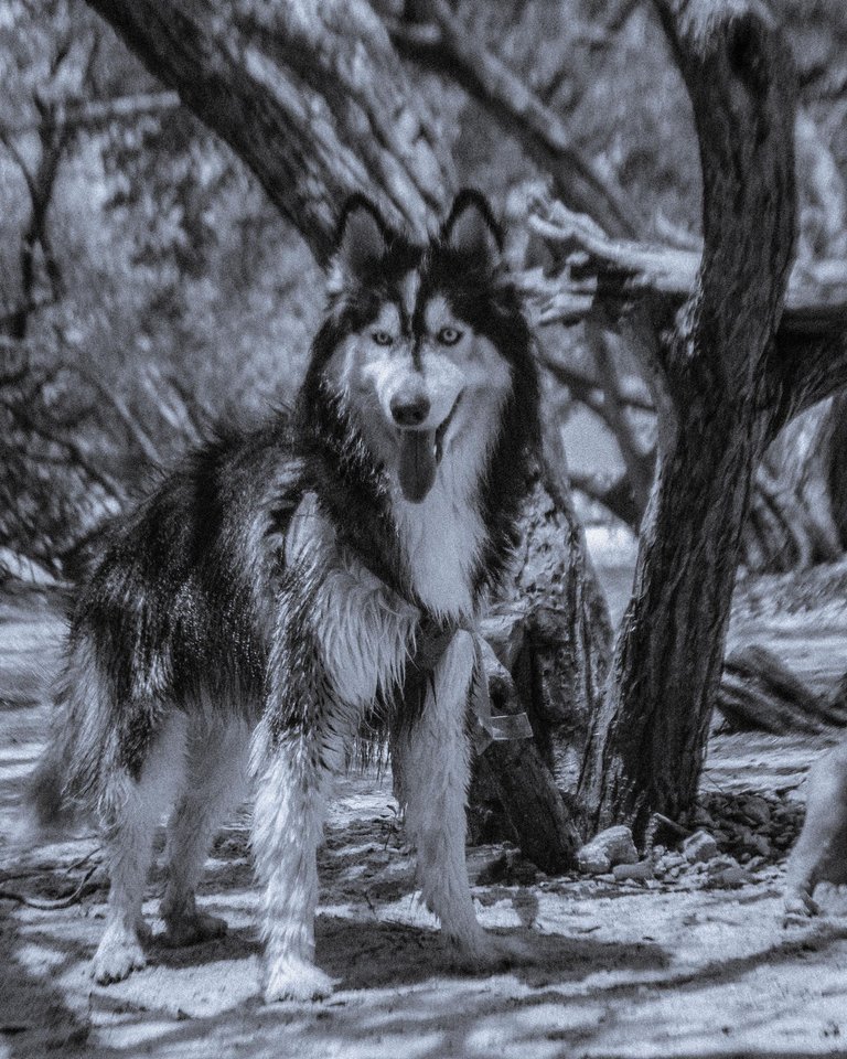 Voli_Playa_B&W-7.jpg