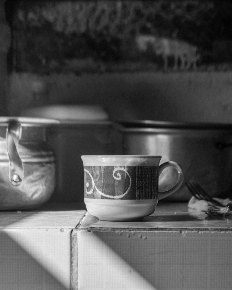 Taza-BW-1.jpg