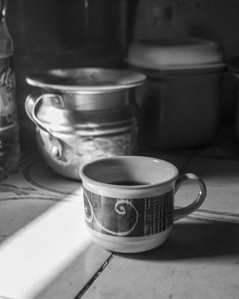 Taza-BW-8.jpg
