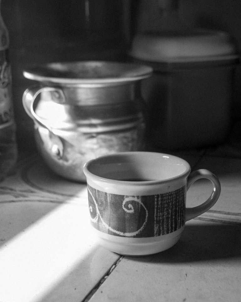 Taza-BW-7.jpg