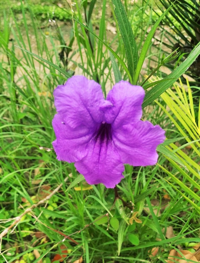 $1