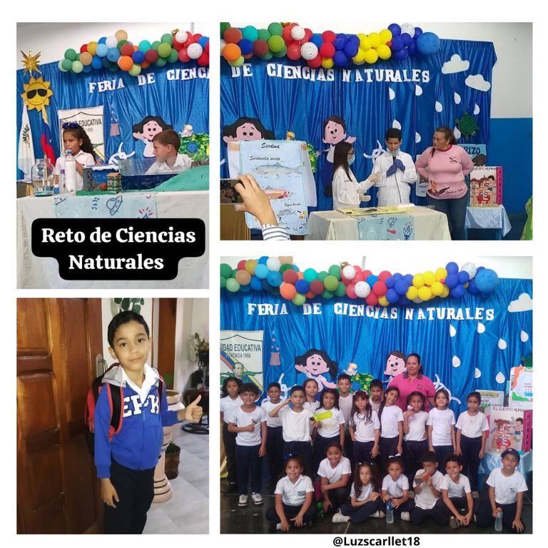 Cover feria de ciencias.png