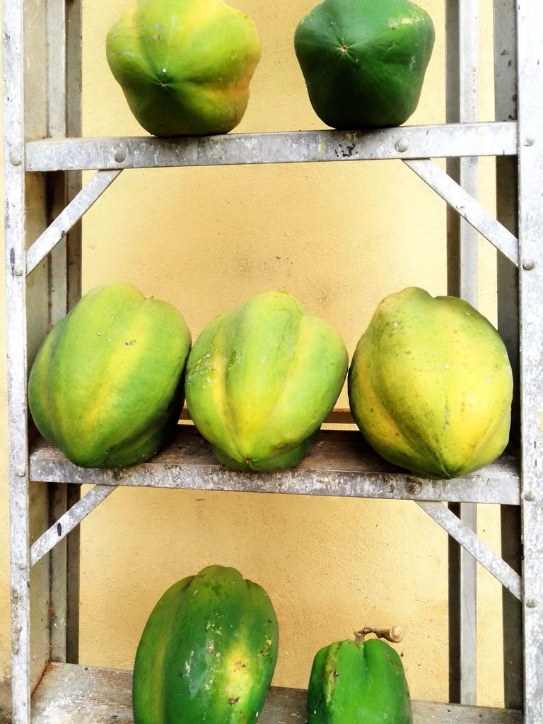 Frutos y flores 2.jpg