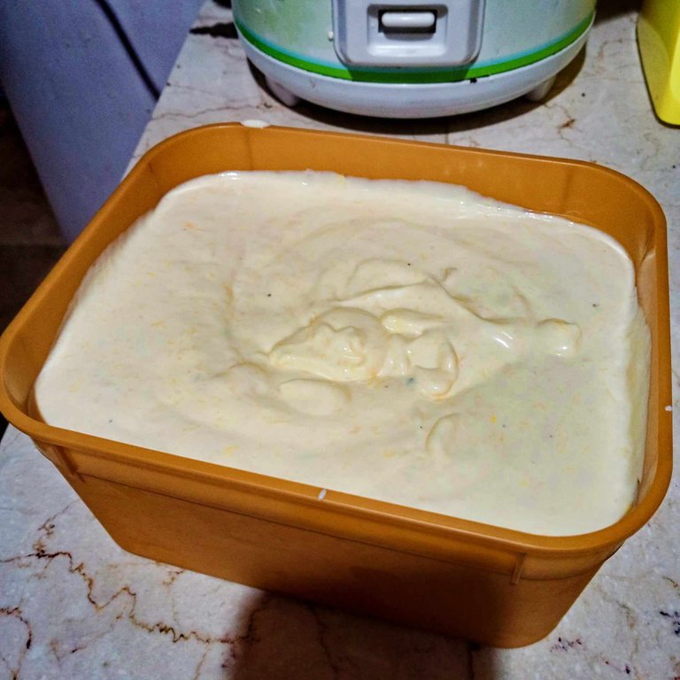 mixture placed in an ice cream container.jpg