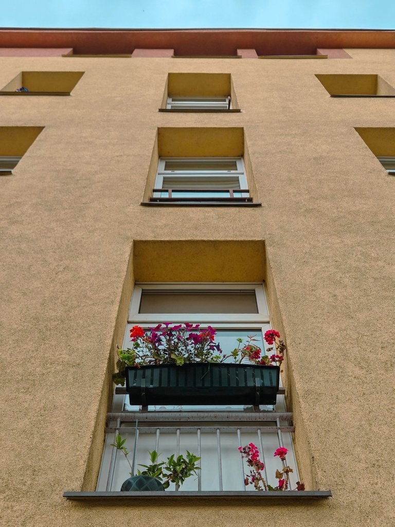 1000005860.jpg