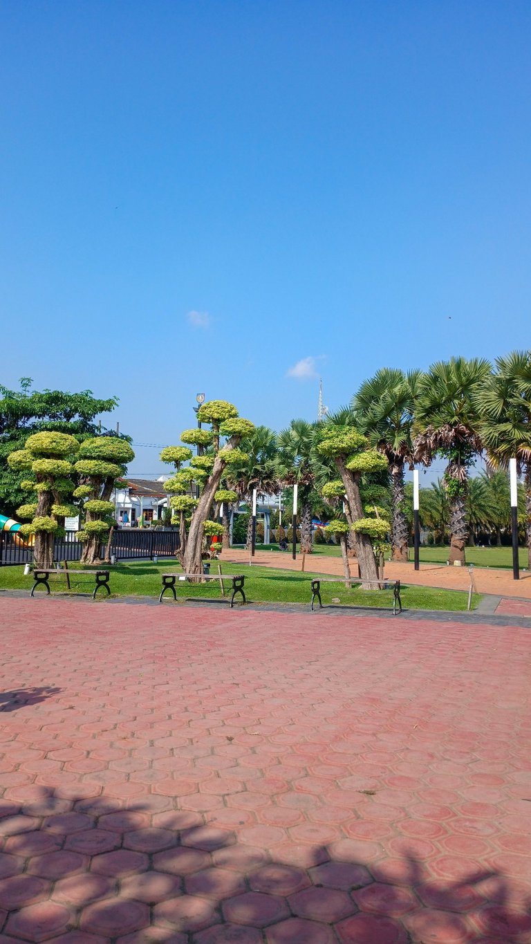20250627_091346[1].jpg