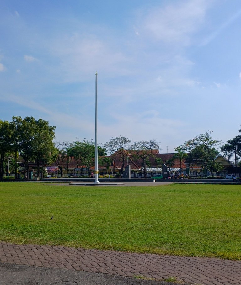 20250627_091224.jpg