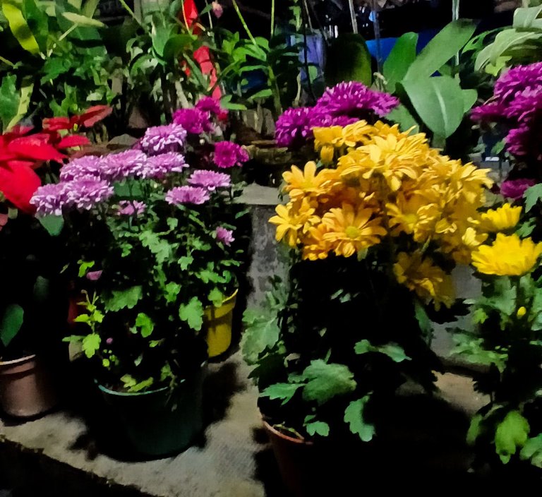 20250812_194023.jpg