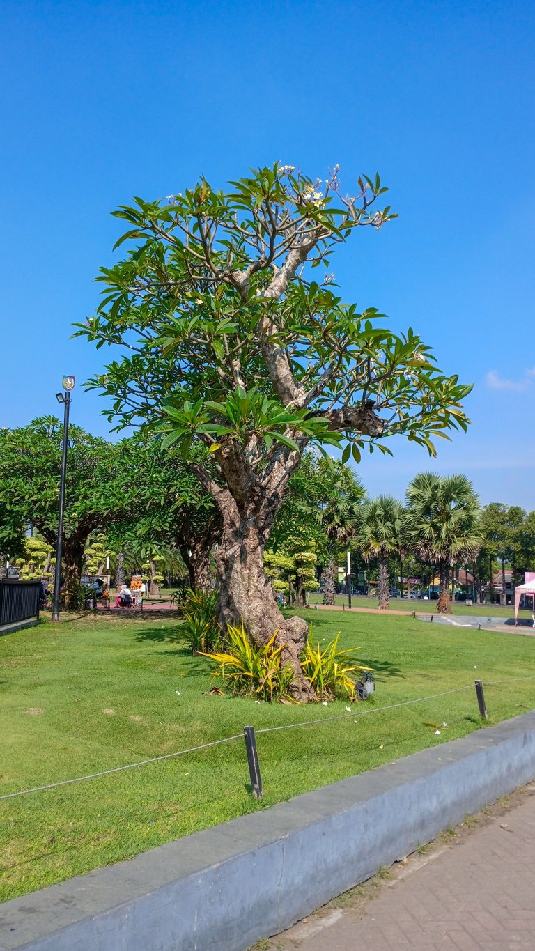 20250627_091206[1].jpg