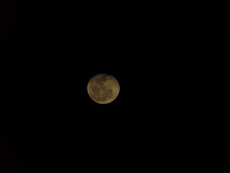 DSC07054.JPG