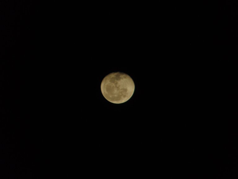 DSC07067.JPG
