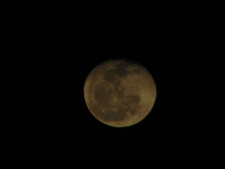 DSC07074.JPG