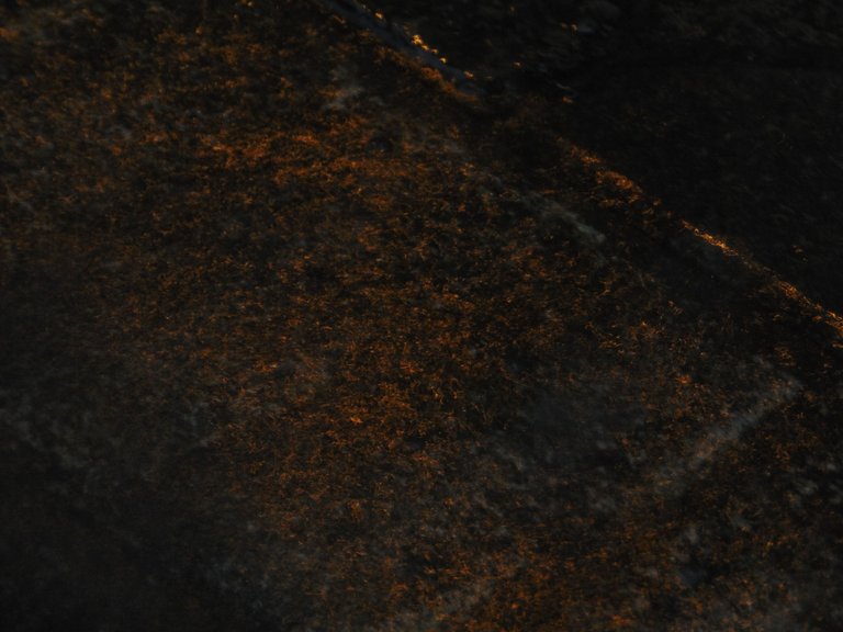DSC06220.JPG