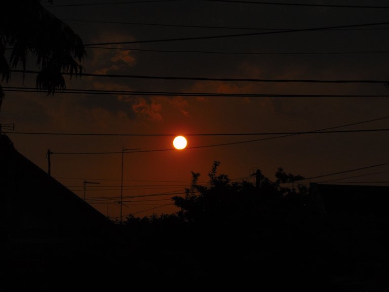 DSC07360.JPG