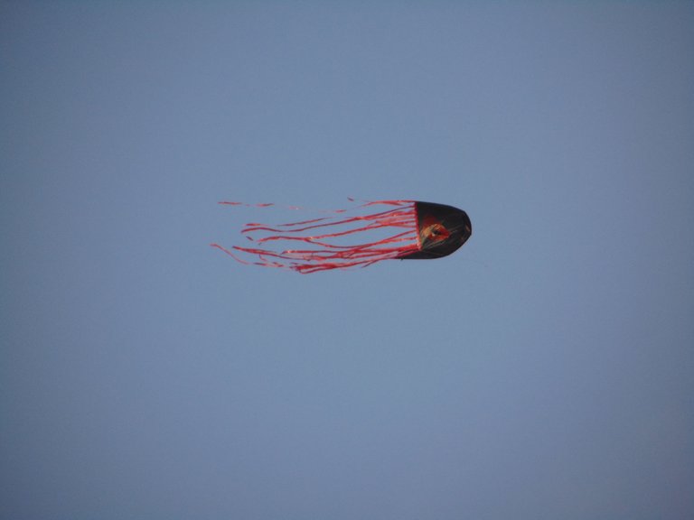 DSC07336.JPG