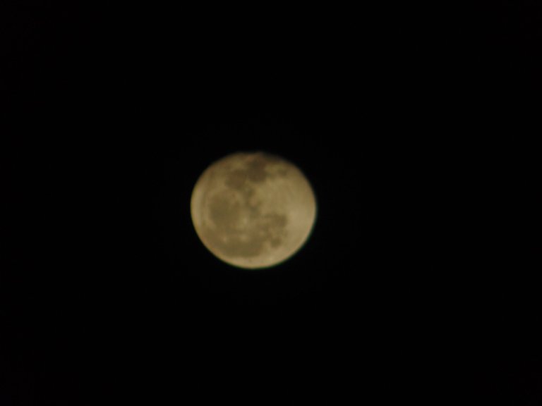 DSC07056.JPG