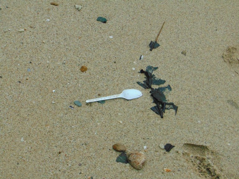 DSC08916.JPG
